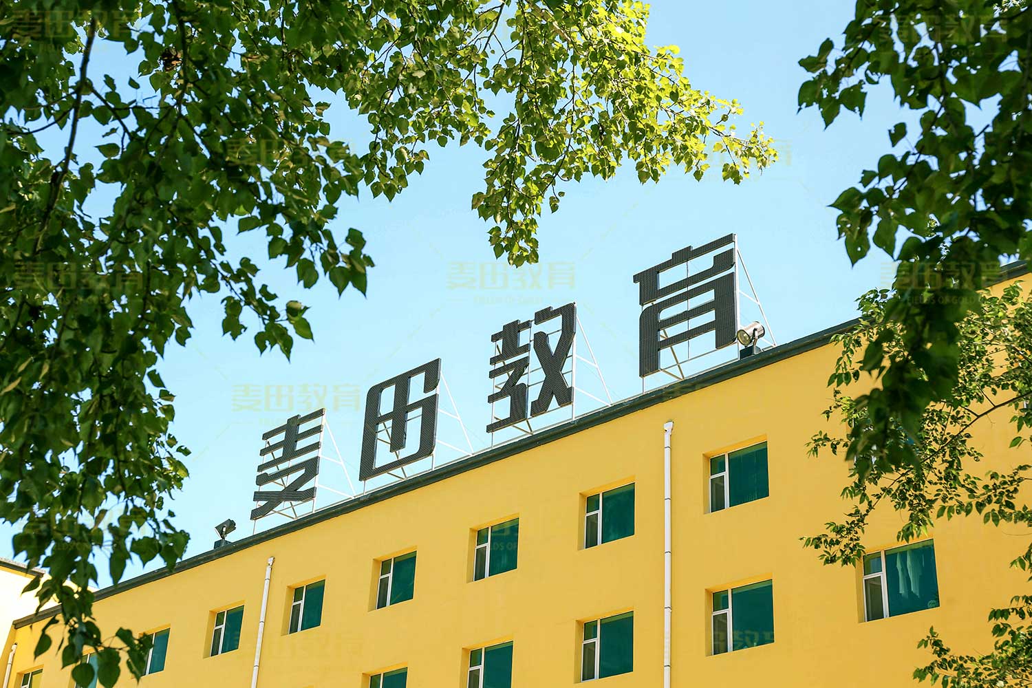 长春艺考文化课补习学校,高考全日制辅导